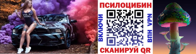 цена   Топки  Псилоцибиновые грибы Cubensis 